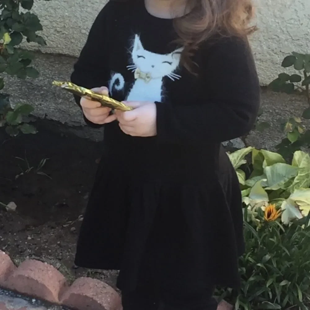 🎉1 hr sale🎉Gymboree dress👧